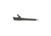 Buy Bosch Injector Nozzle 0445110273 - Fiat Online
