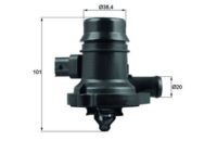 mahle-TM36103