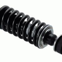 sachs-315586