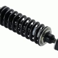 sachs-315587