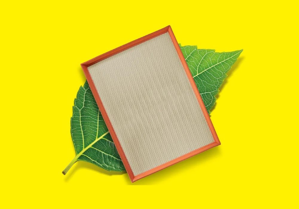 MANN-FILTER Launches New CO₂-Reduced Filters with Plant-Based Impregnation Technology