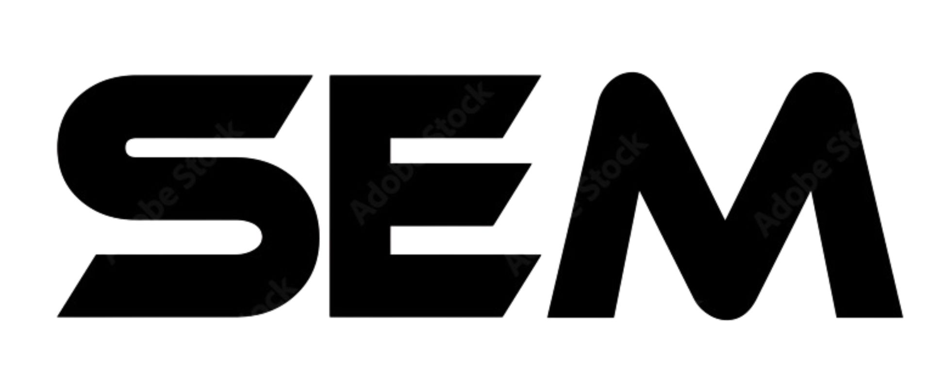 PHINIA SEM Agreement Terms